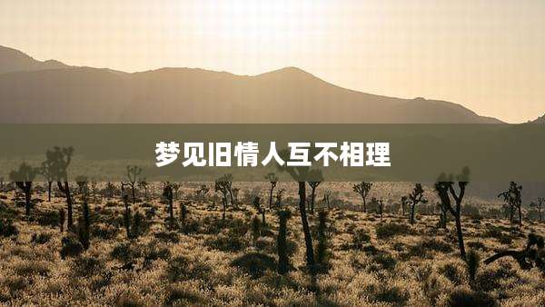 梦见旧情人互不相理