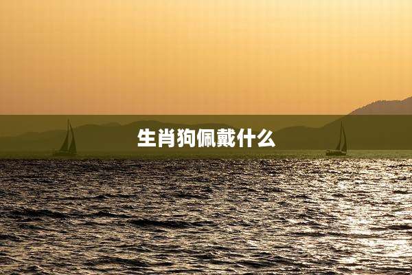 生肖狗佩戴什么