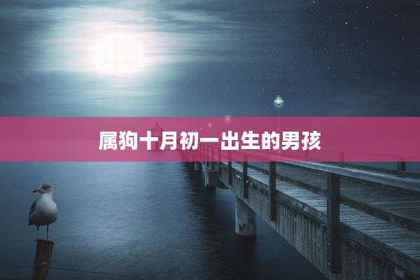 属狗十月初一出生的男孩
