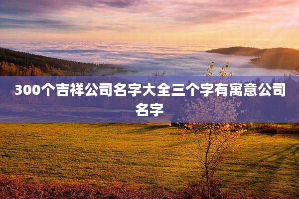 300个吉祥公司名字大全三个字有寓意公司名字
