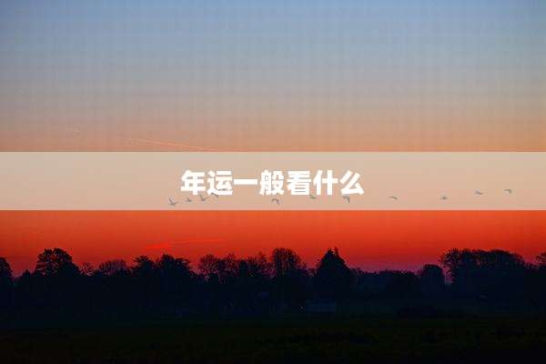 年运一般看什么