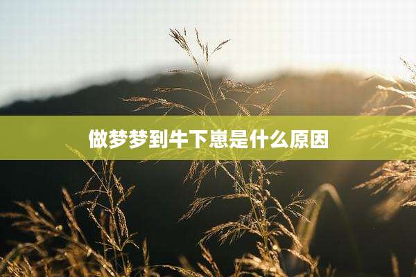 做梦梦到牛下崽是什么原因