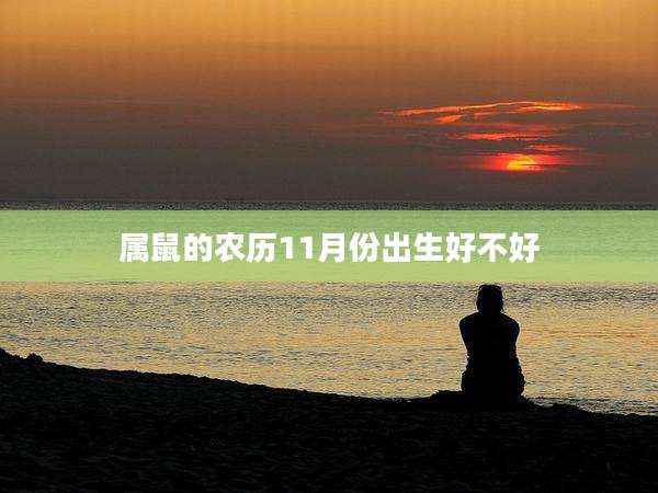 属鼠的农历11月份出生好不好