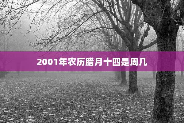 2001年农历腊月十四是周几