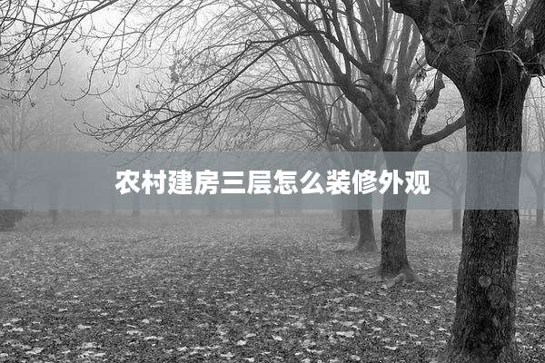 农村建房三层怎么装修外观