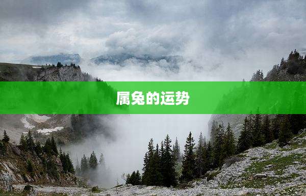 属兔的运势