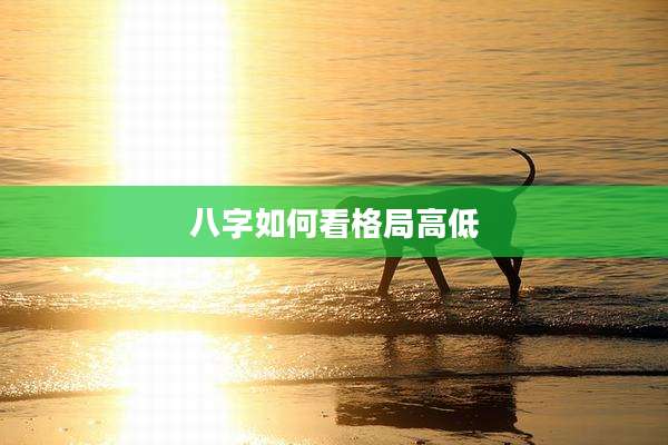 八字如何看格局高低