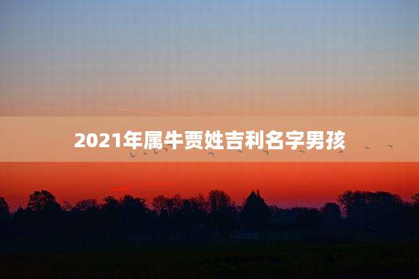 2021年属牛贾姓吉利名字男孩
