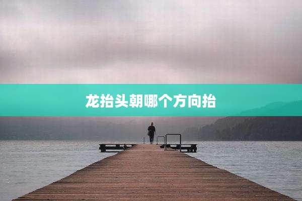 龙抬头朝哪个方向抬