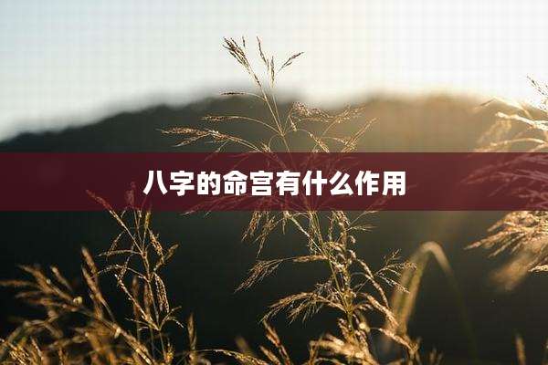 八字的命宫有什么作用