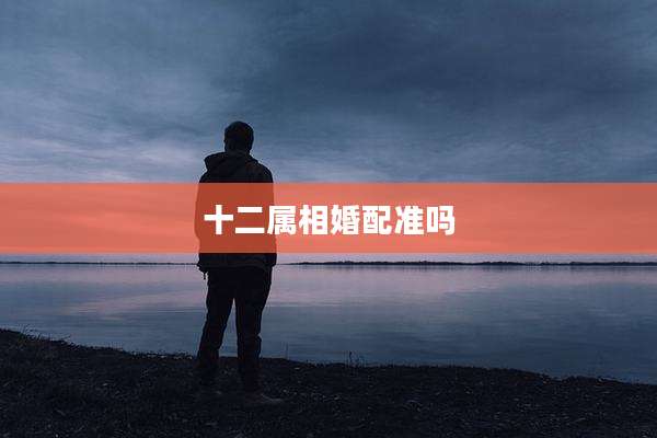 十二属相婚配准吗