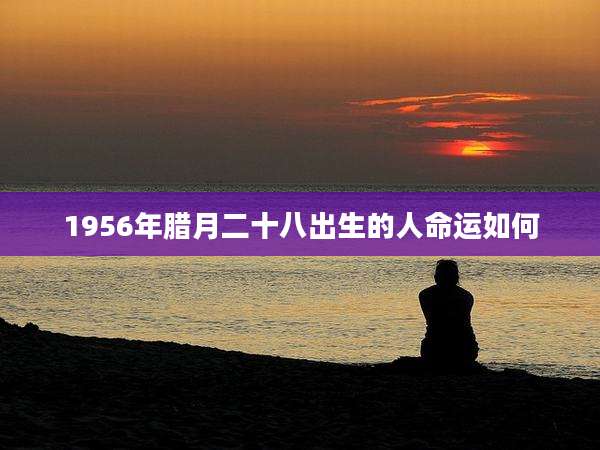1956年腊月二十八出生的人命运如何