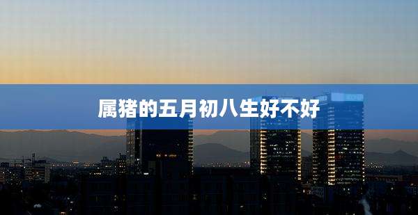属猪的五月初八生好不好