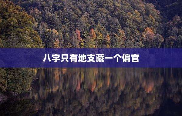 八字只有地支藏一个偏官