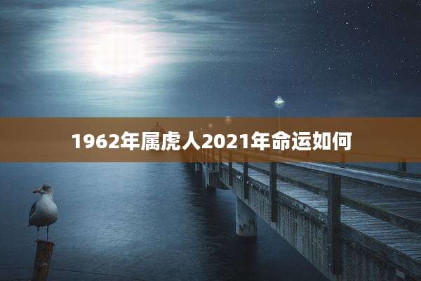 1962年属虎人2021年命运如何