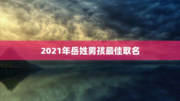 2021年岳姓男孩最佳取名