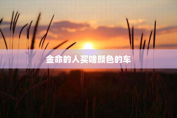 金命的人买啥颜色的车