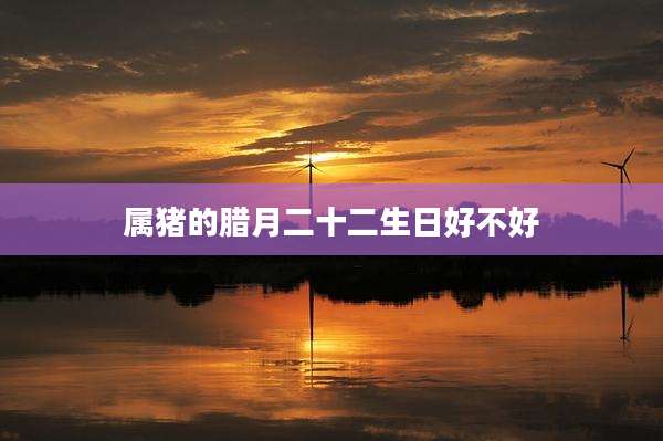 属猪的腊月二十二生日好不好