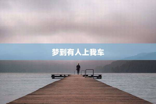 梦到有人上我车