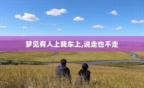 梦见有人上我车上,说走也不走