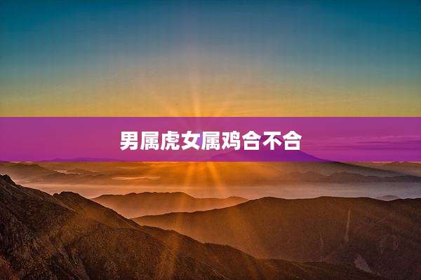 男属虎女属鸡合不合