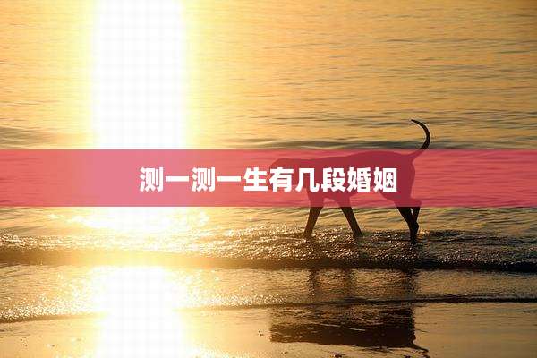 测一测一生有几段婚姻