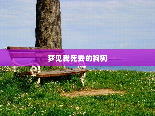 梦见我死去的狗狗