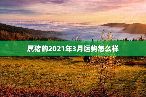 属猪的2021年3月运势怎么样