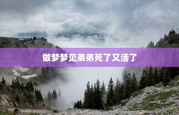做梦梦见弟弟死了又活了