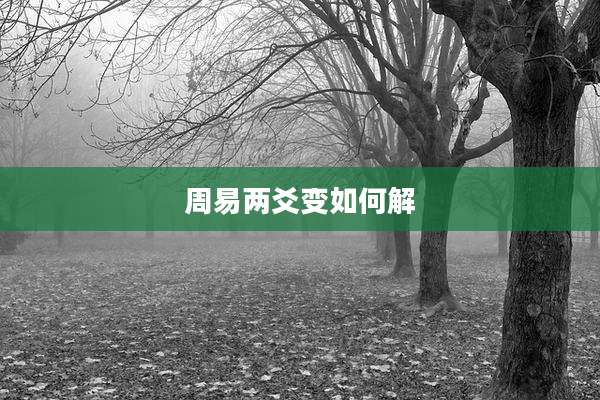 周易两爻变如何解