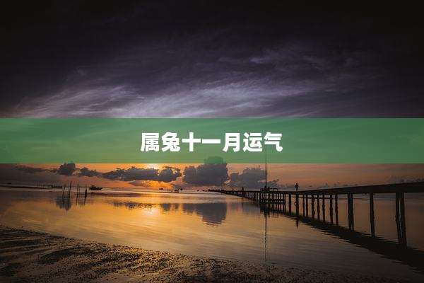 属兔十一月运气