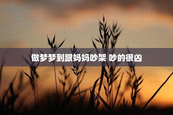 做梦梦到跟妈妈吵架 吵的很凶