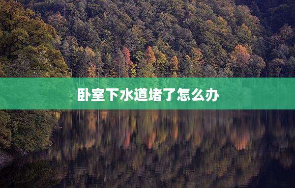 卧室下水道堵了怎么办