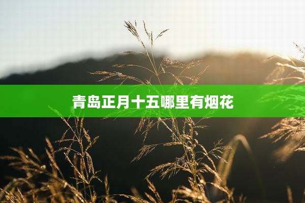 青岛正月十五哪里有烟花