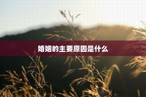 婚姻的主要原因是什么