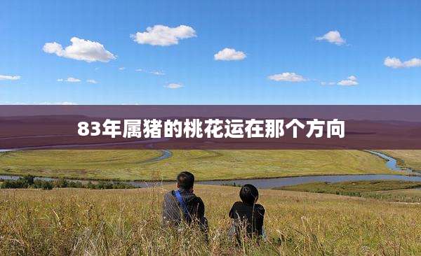 83年属猪的桃花运在那个方向