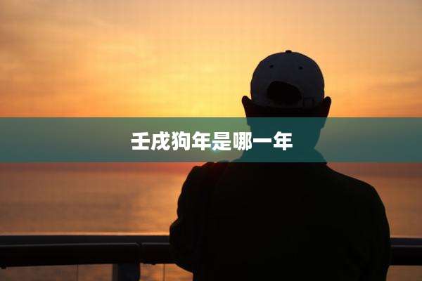 壬戌狗年是哪一年