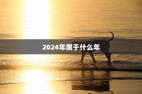 2024年属于什么年