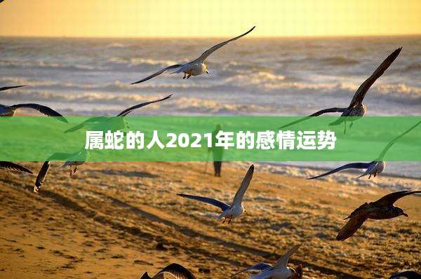 属蛇的人2021年的感情运势