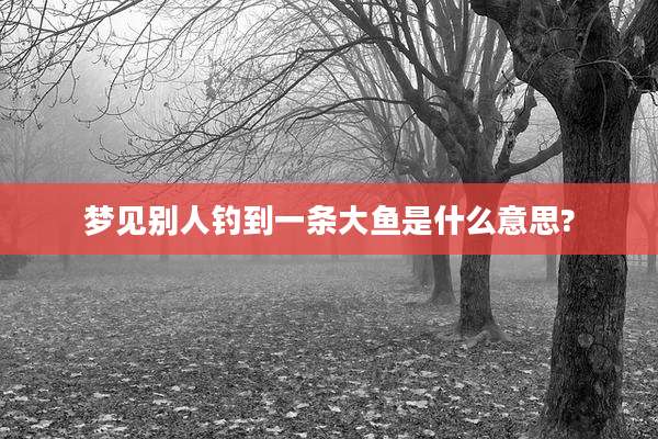 梦见别人钓到一条大鱼是什么意思?
