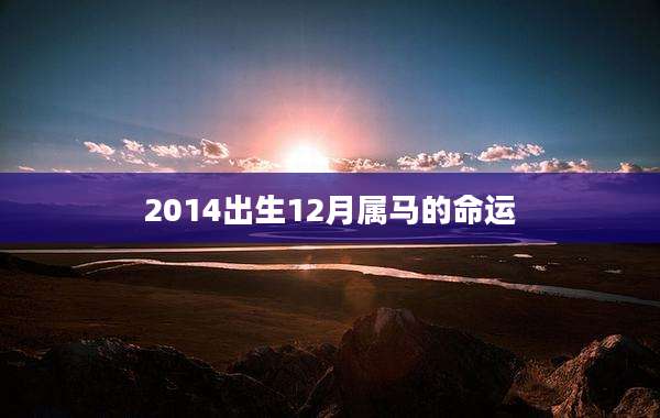 2014出生12月属马的命运