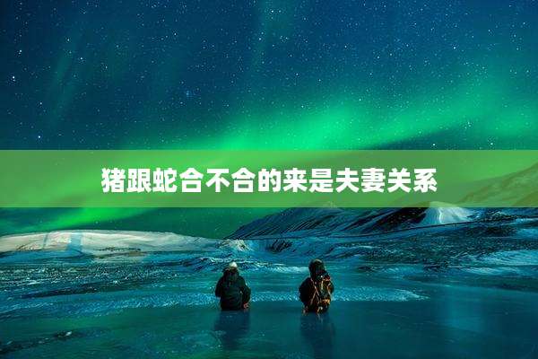 猪跟蛇合不合的来是夫妻关系