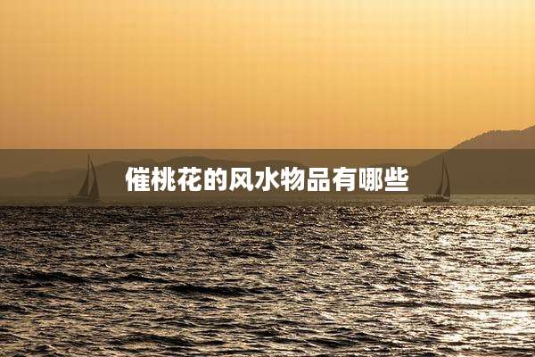 催桃花的风水物品有哪些