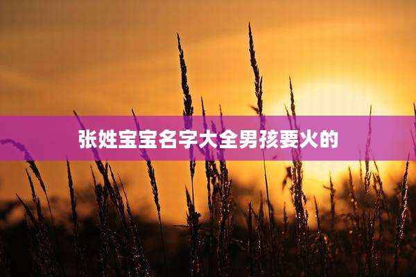 张姓宝宝名字大全男孩要火的