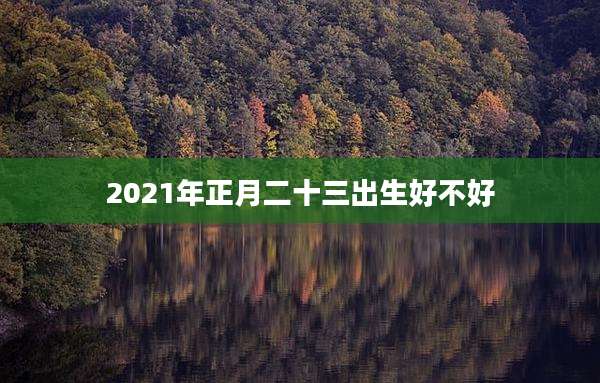 2021年正月二十三出生好不好