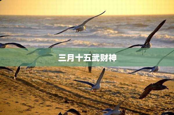 三月十五武财神