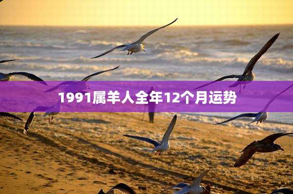 1991属羊人全年12个月运势