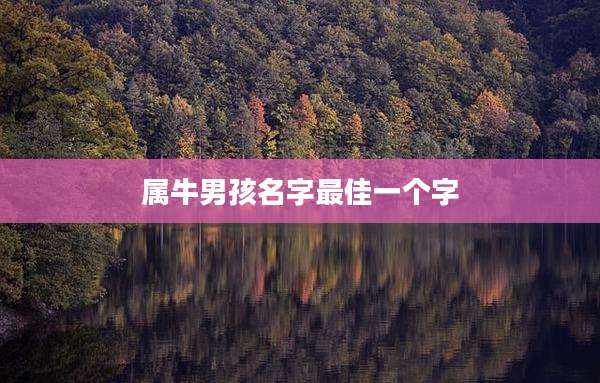 属牛男孩名字最佳一个字