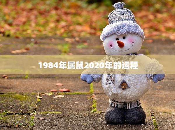 1984年属鼠2020年的运程