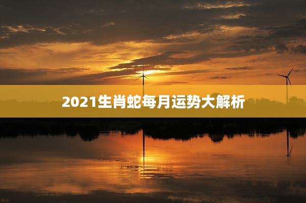 2021生肖蛇每月运势大解析